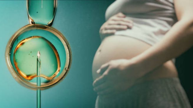 fertilización in vitro
