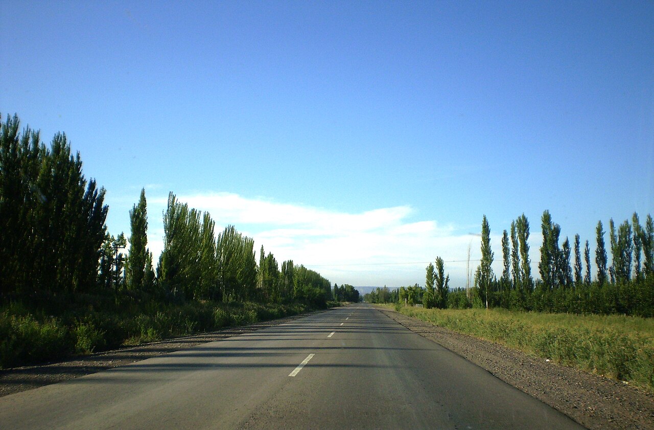 ruta 6