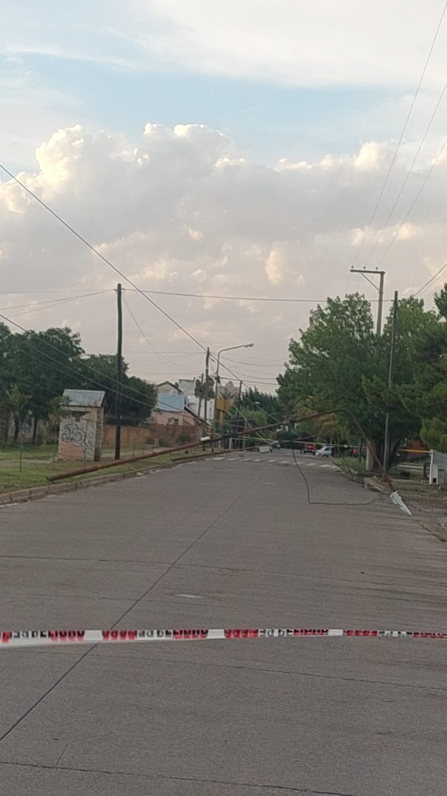 Temporal en Viedma 